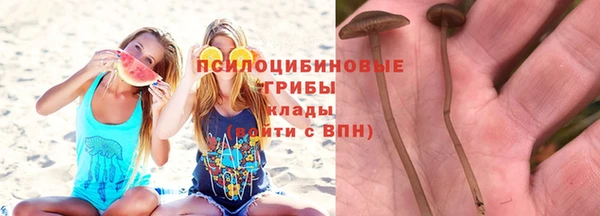 дурь Арсеньев