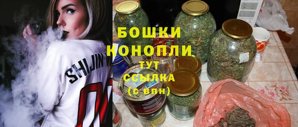 дурь Арсеньев